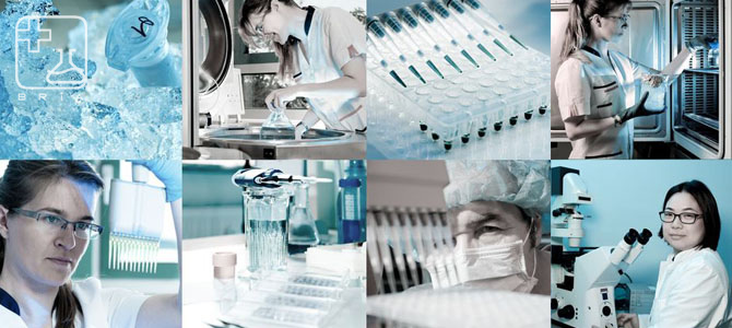 header-oem-services