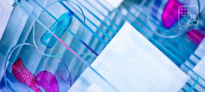 header-pathology